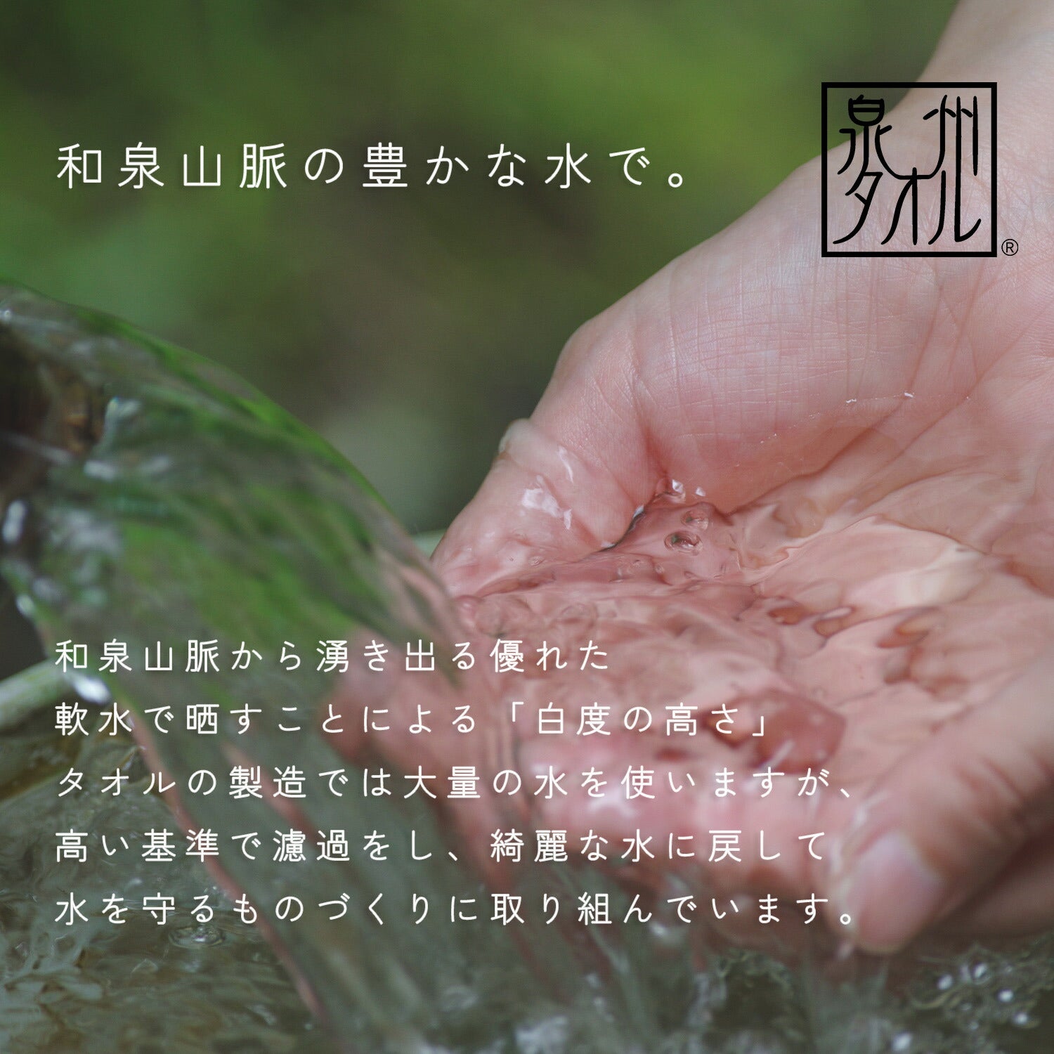 DAKS】ダックス やわらかタオルケット（正規品） – ねむりの森