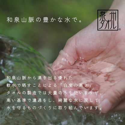 DAKS ダックス やわらかタオルケット