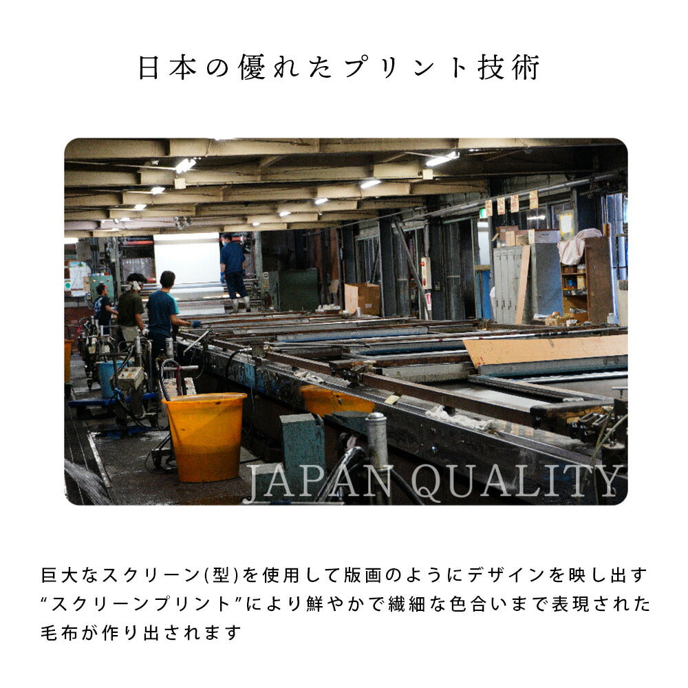 【DAKS】 ダックス ニューマイヤー毛布 「ハウスチェック」（正規品）