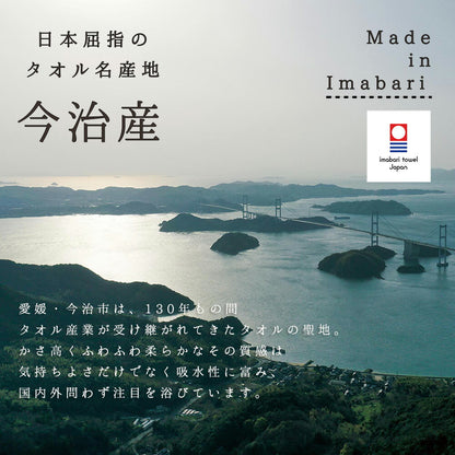 DearJapan ディアジャパン 今治タオルケット Brillio ブリリオ