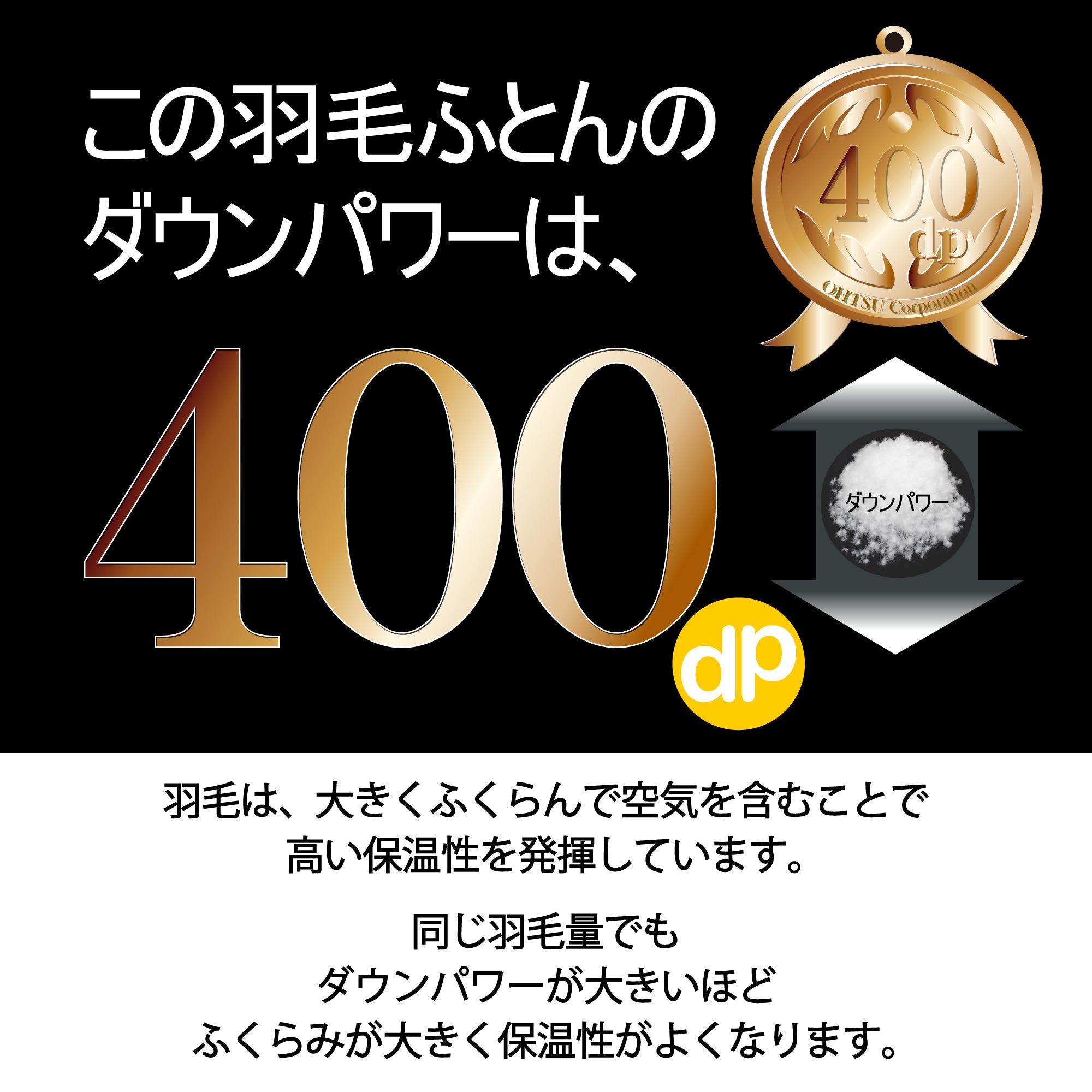 【日本製】　ダウン93％　羽毛掛ふとん「デーローズ」