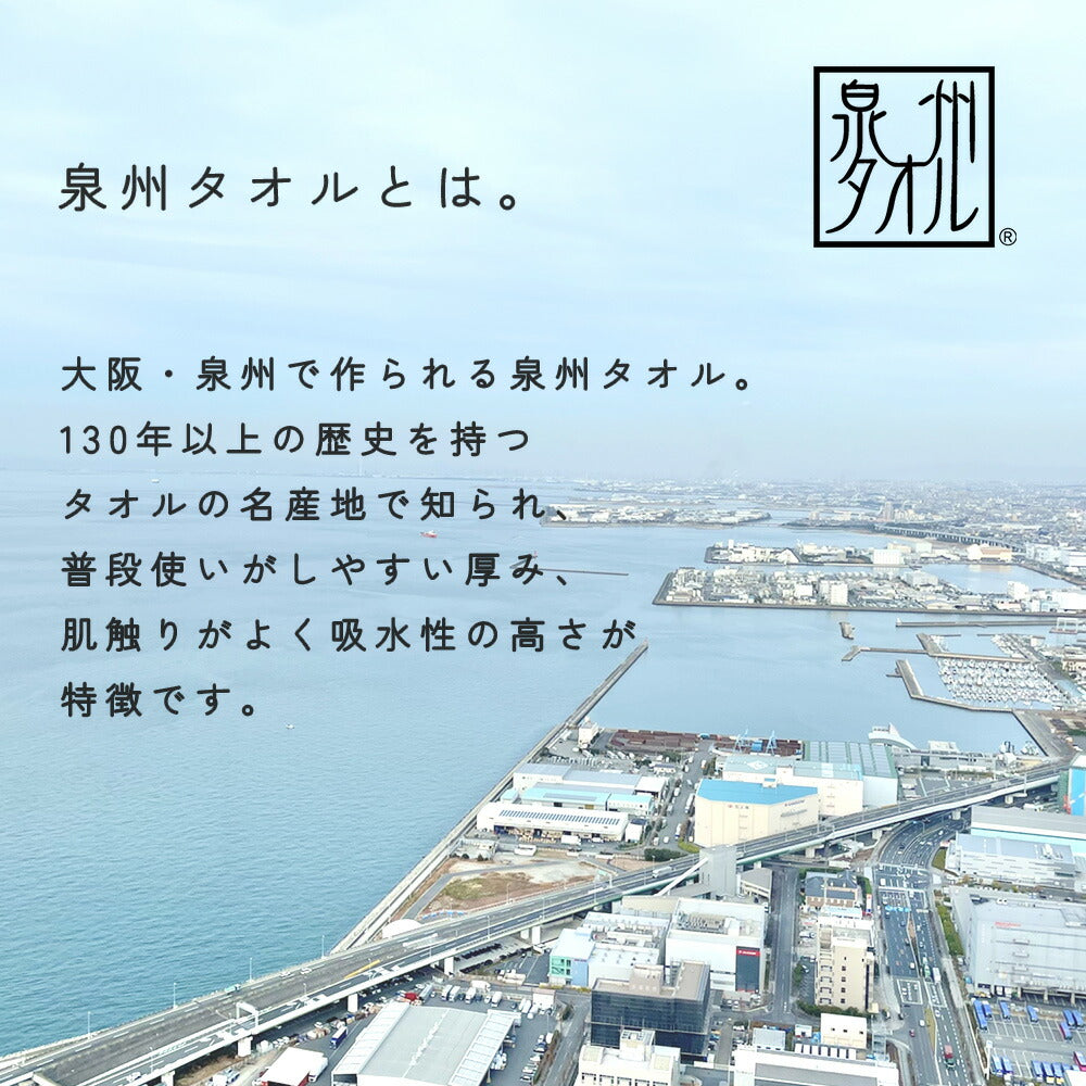 DearJapan ディアジャパン 泉州タオルケット ブルックリン