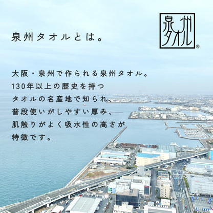 DearJapan ディアジャパン 泉州タオルケット ブルックリン