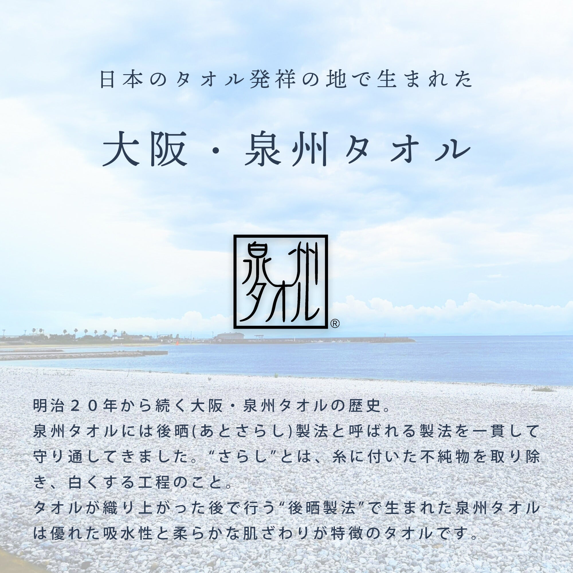 annaemilia アンナエミリア 泉州産タオルギフト