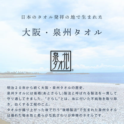 annaemilia アンナエミリア 泉州産タオルギフト