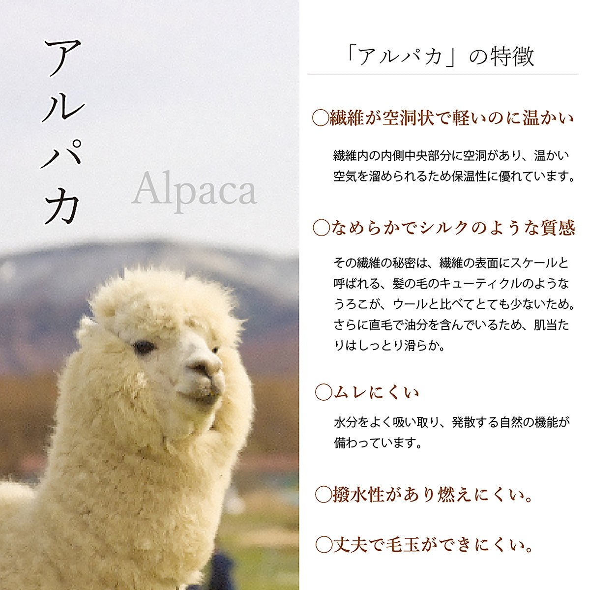国産】アルパカ毛布 (毛羽部分) – ねむりの森