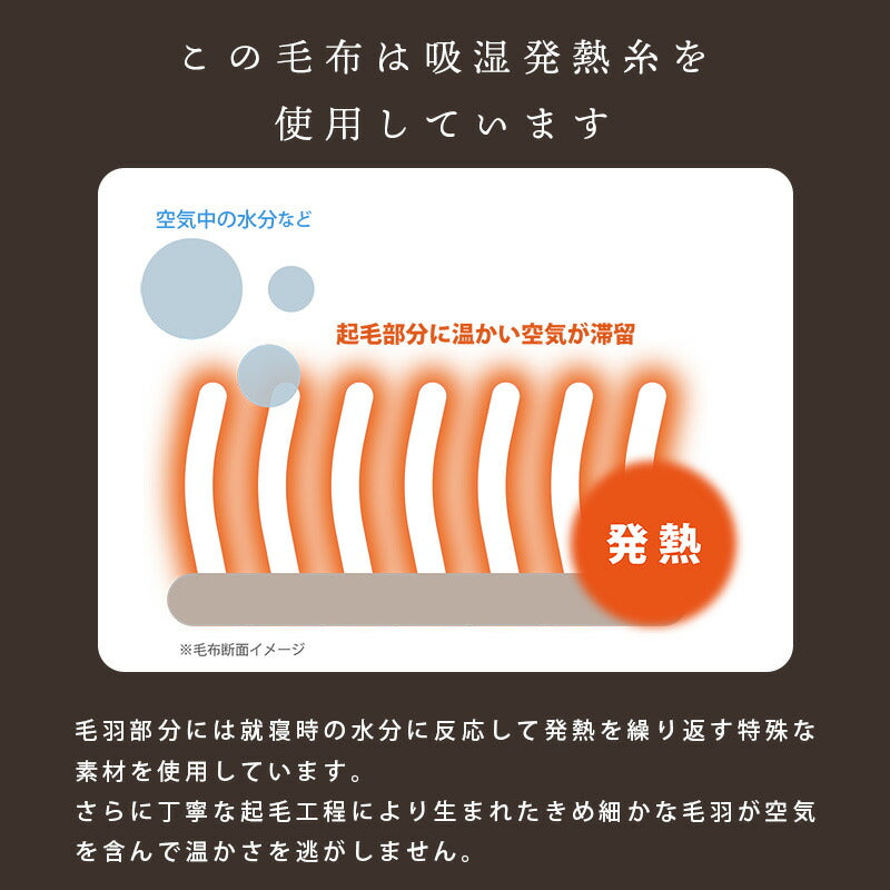 DAKS ダックス 130周年記念 限定デザイン ニューマイヤー毛布