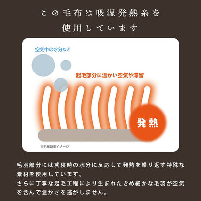 DAKS ダックス 130周年記念 限定デザイン ニューマイヤー毛布