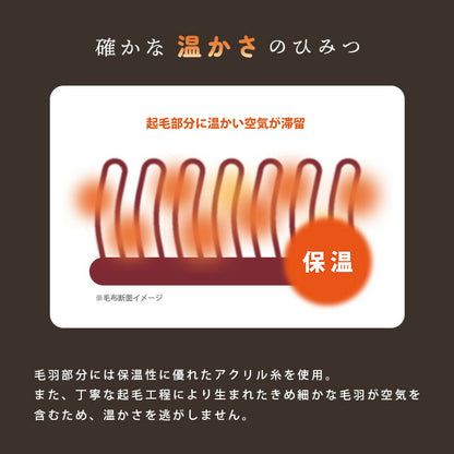 DAKS ダックス ニューマイヤー毛布 ハウスチェック