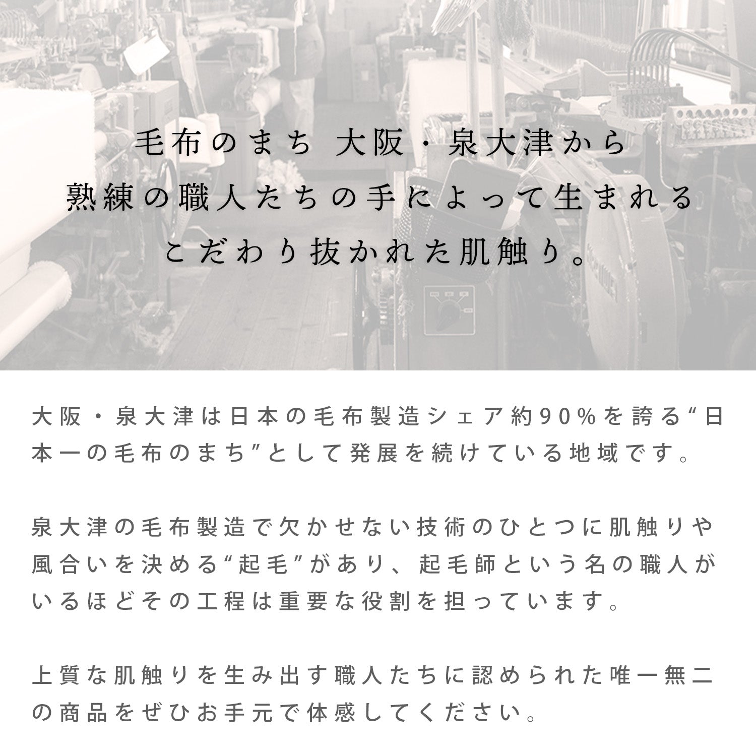 DAKS ダックス ウール毛布 DDロゴ柄