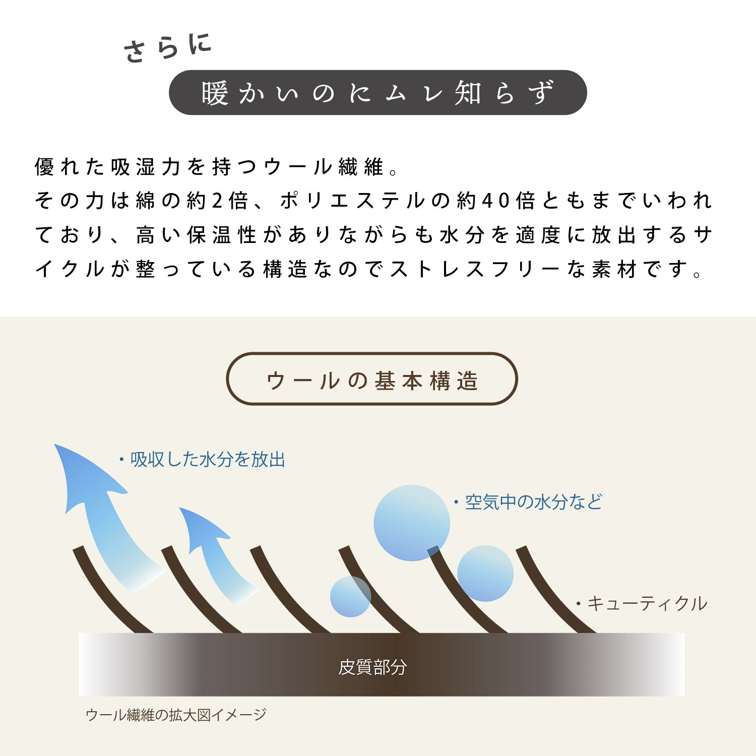 DAKS ダックス ウール毛布 DDロゴ柄