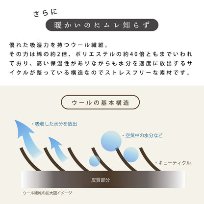 DAKS ダックス ウール毛布 DDロゴ柄