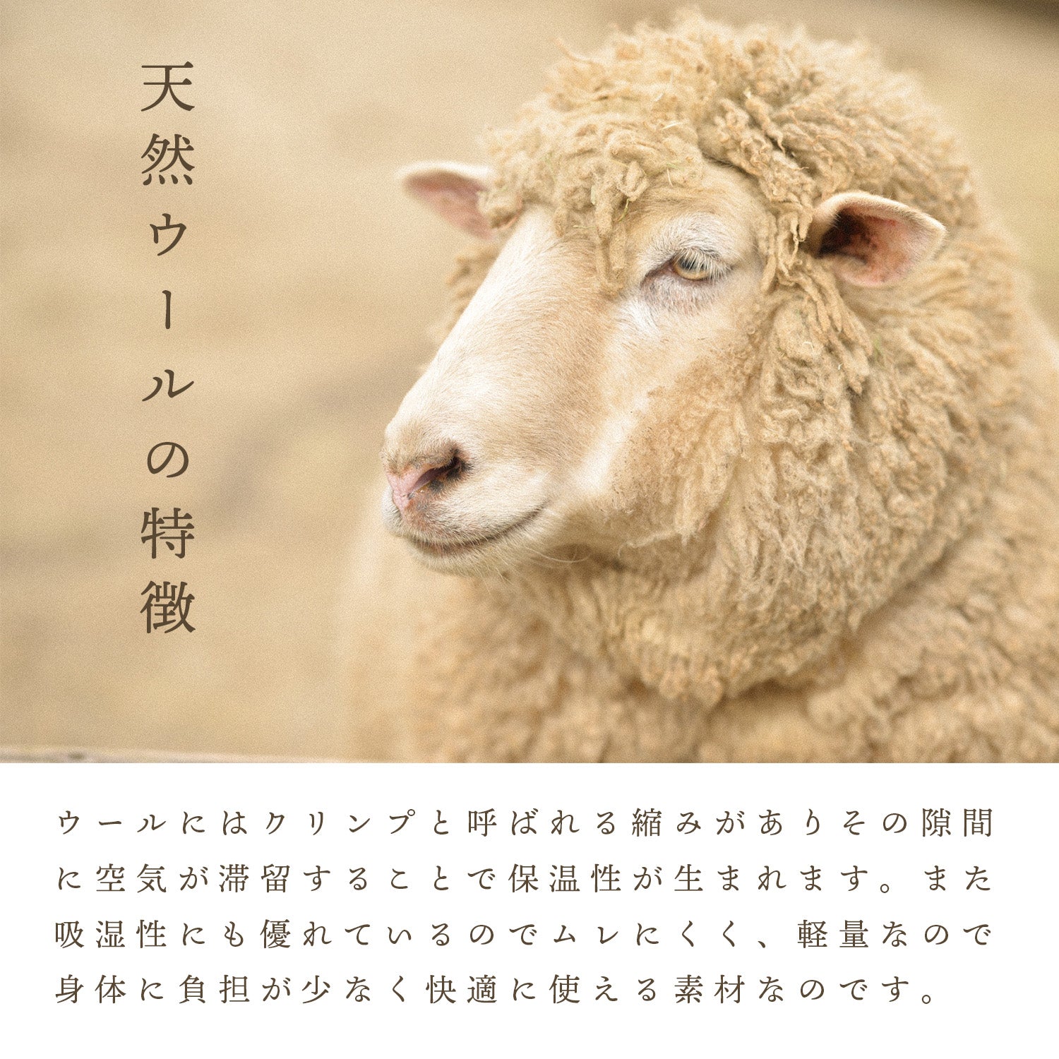 DAKS ダックス ウールひざ掛け ハウスチェック