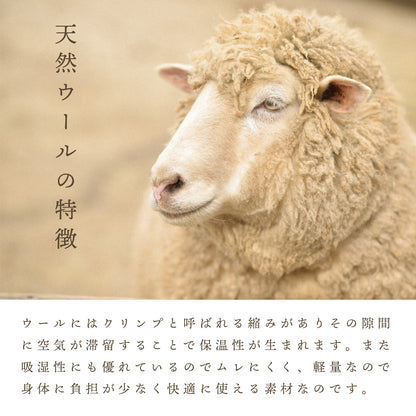 DAKS ダックス ウールひざ掛け ハウスチェック