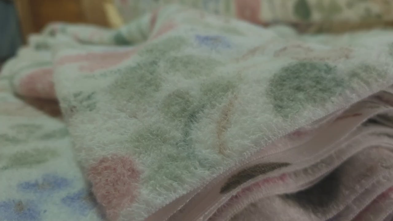 動画がロードされます。