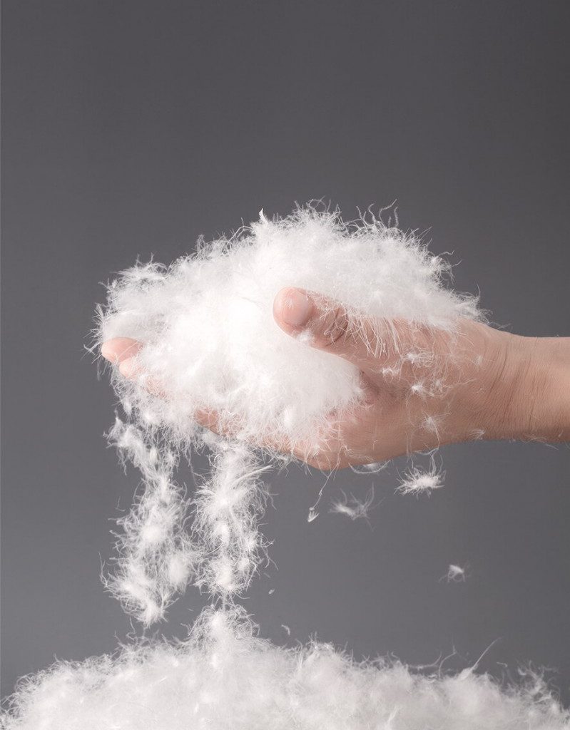 【DAKS】　ダウン90％　羽毛掛ふとん 「ウッドダック」(正規品）